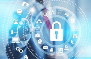 未來(lái)十年依舊熱門的四大工科專業(yè) 網(wǎng)絡(luò)安全與軟件開(kāi)發(fā)引領(lǐng)科技浪潮